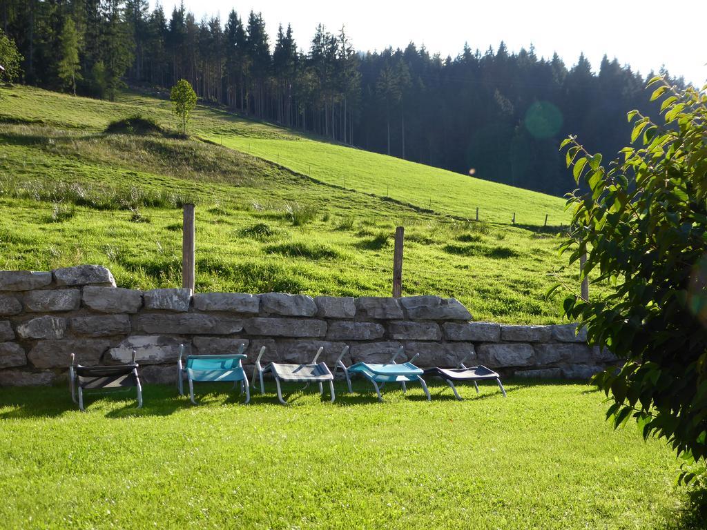 Birnhornblick Leogang