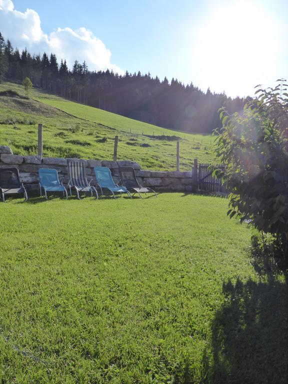 Apartment Birnhornblick *