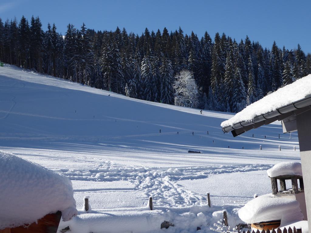 Birnhornblick Apartment Leogang